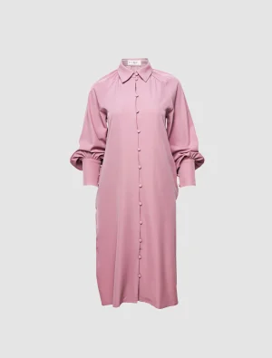 Rani Pink Long Dress
